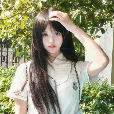 长春树